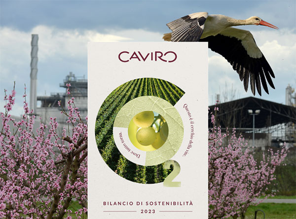 cicogna in volo su stabilimento caviro. in primo piano depliant del bilancio di sostenibilità 2023