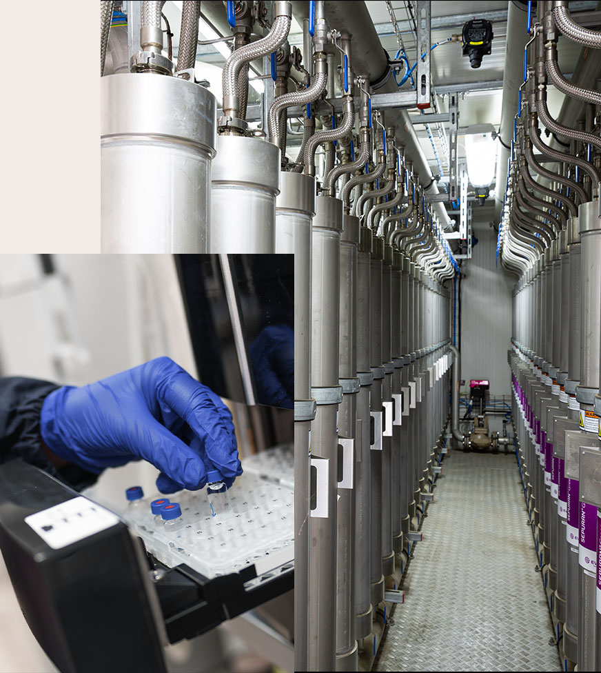 lavorazione materiale per bioenergia