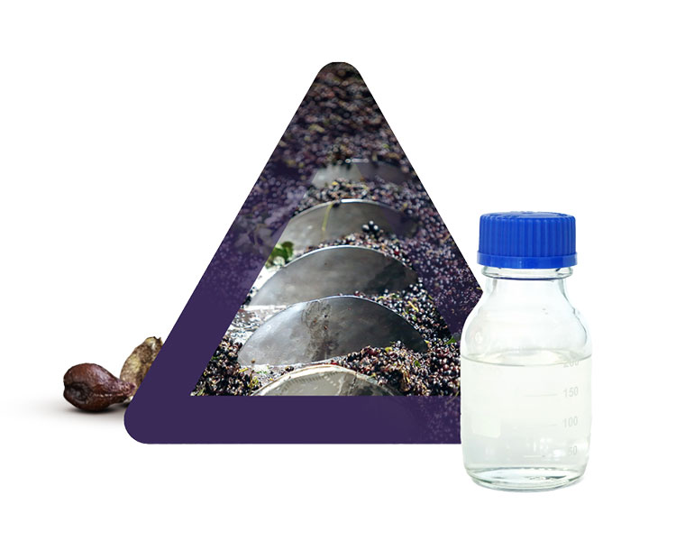 lavorazione uva per mosti ed estratti