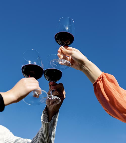 3 calici di vino sollevati