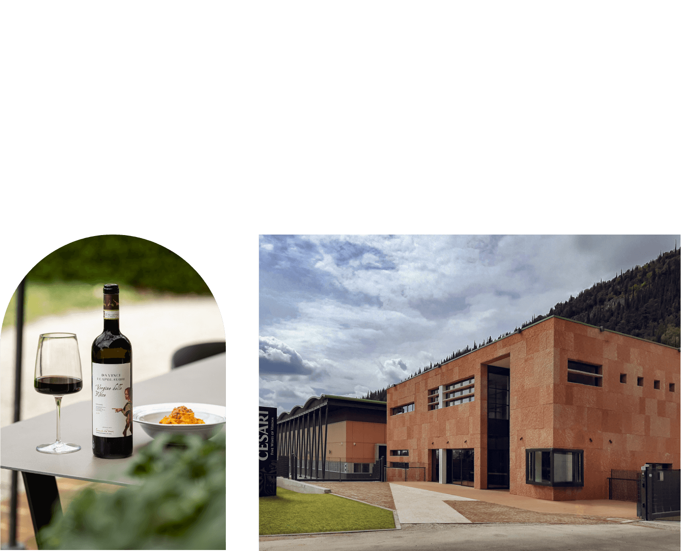 stabilimento cesari, foto vino in tavola