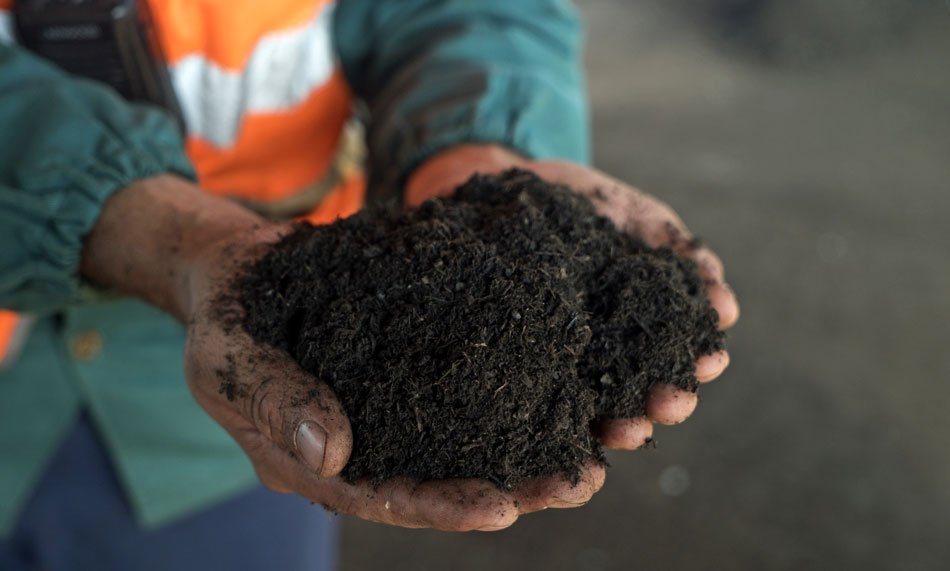 mani che tengono terriccio