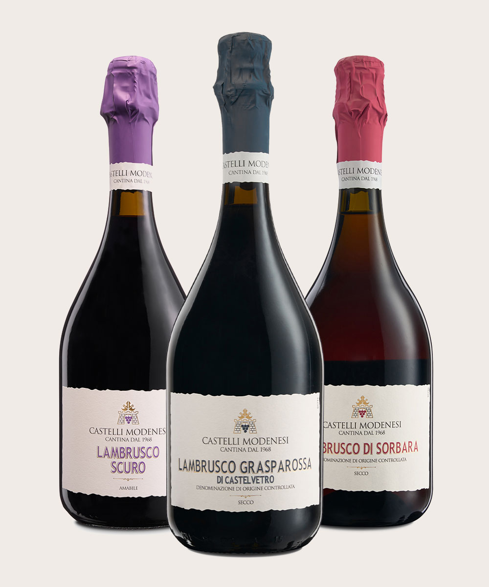 3 bottiglie di vino castelli modenesi