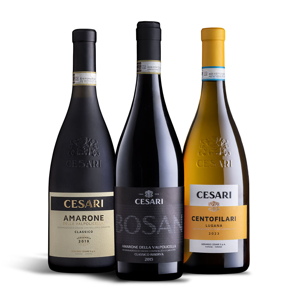 3 bottiglie di vino cesari