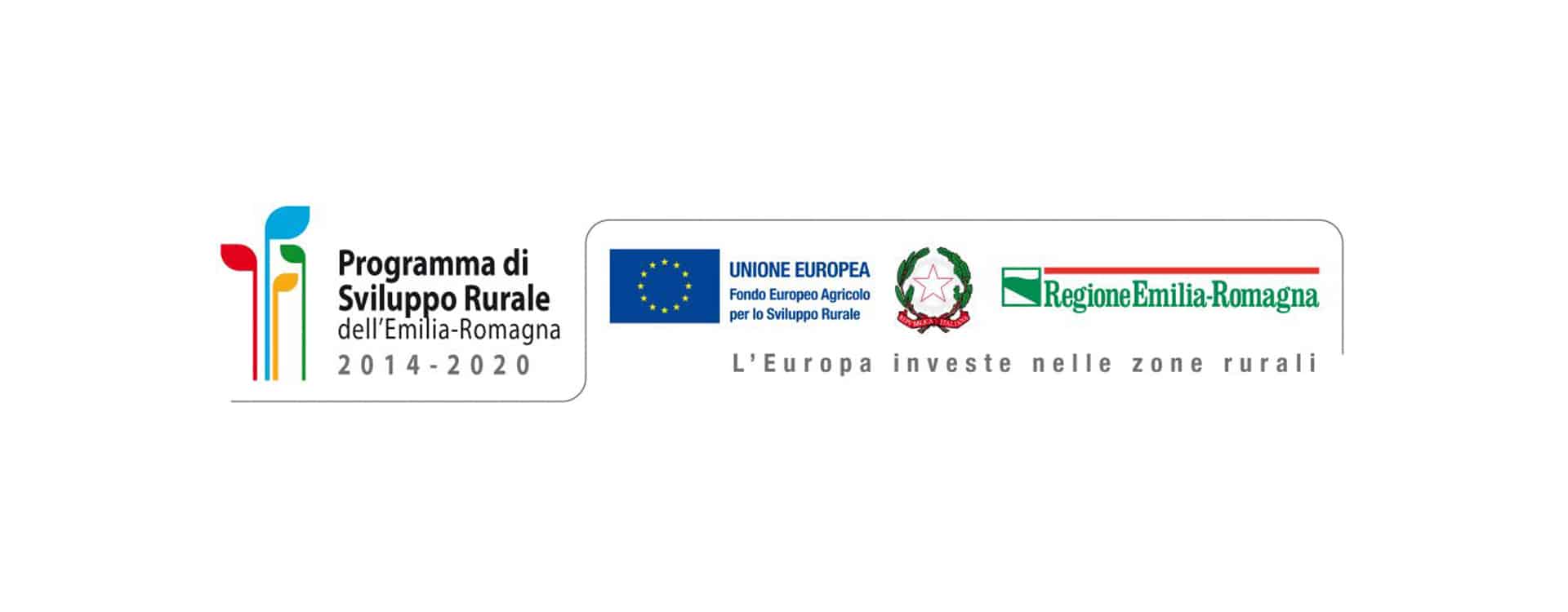 logo unione europera per lo sviluppo rurale regione emilia romagnachimiche e sensoriali dei vini