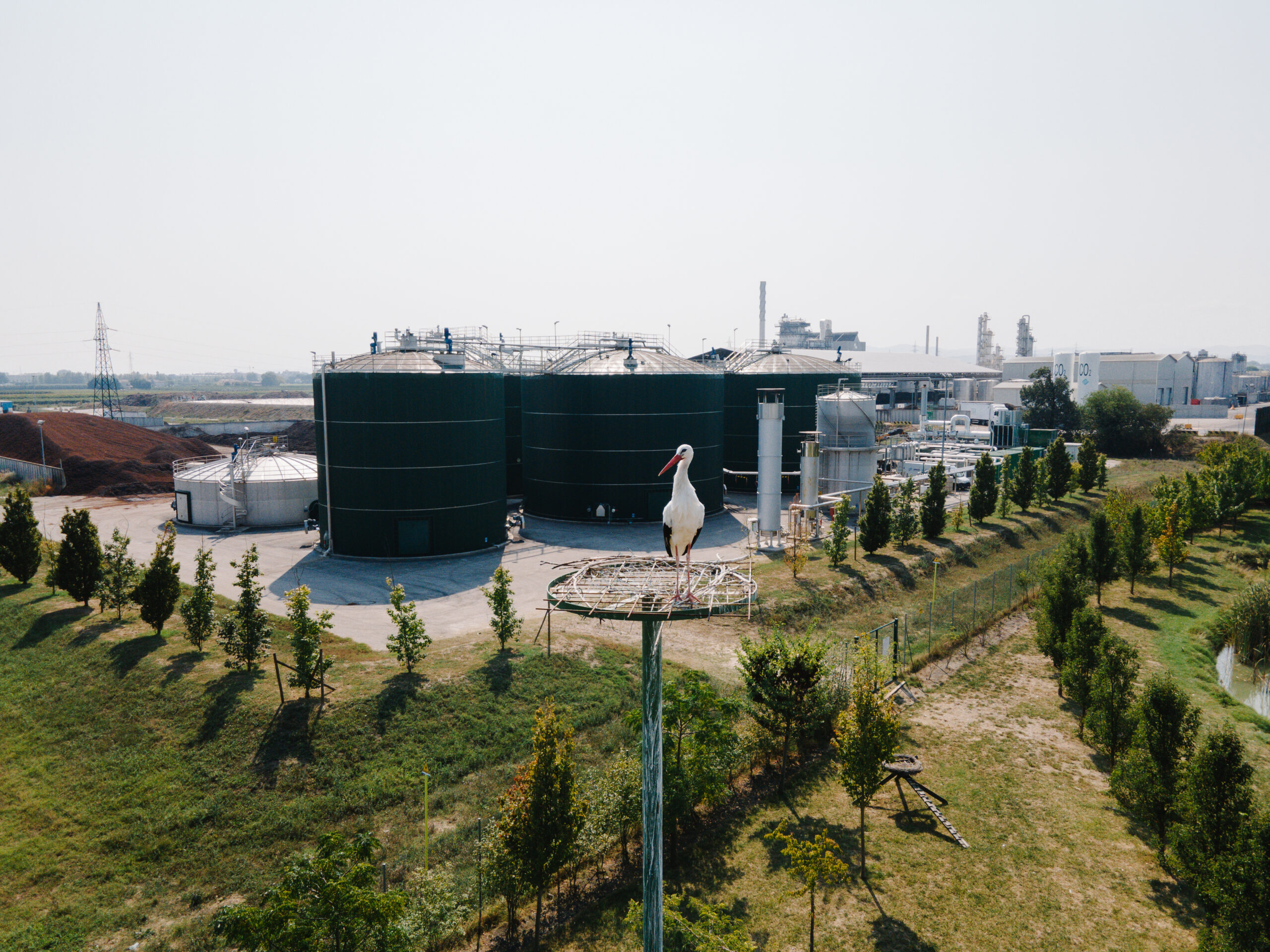 cicogna in primo piamo con biodigestori anaerobici sullo sfondo