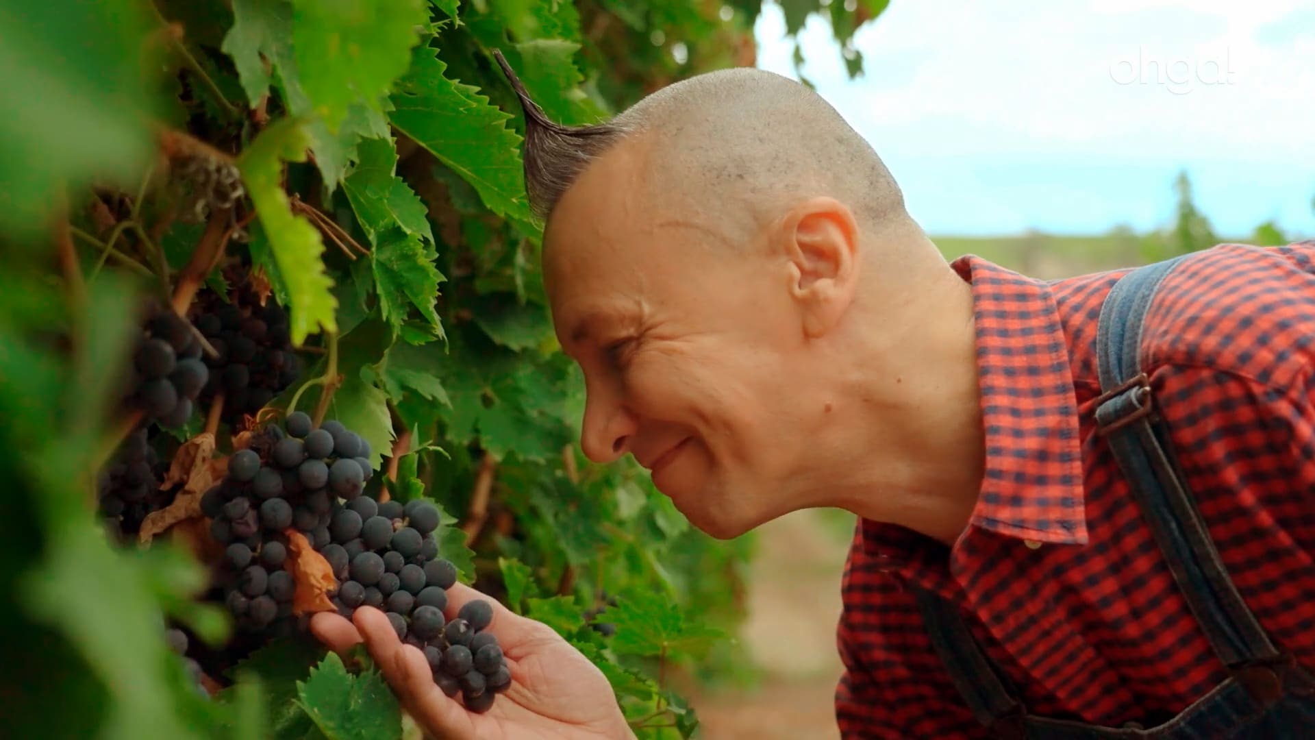 Arturo Brachetti da caviro