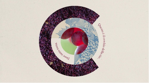 cerchio della vite: cerchio con grappolo d'uva