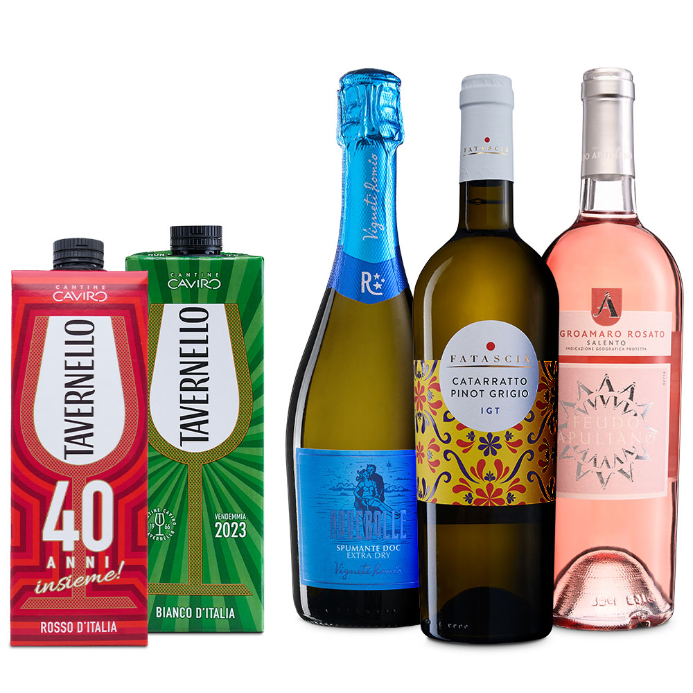 3 bottiglie di vino vigneti romagnoli, fatascià e feudo apuliano, brick tavernello bianco e rosso